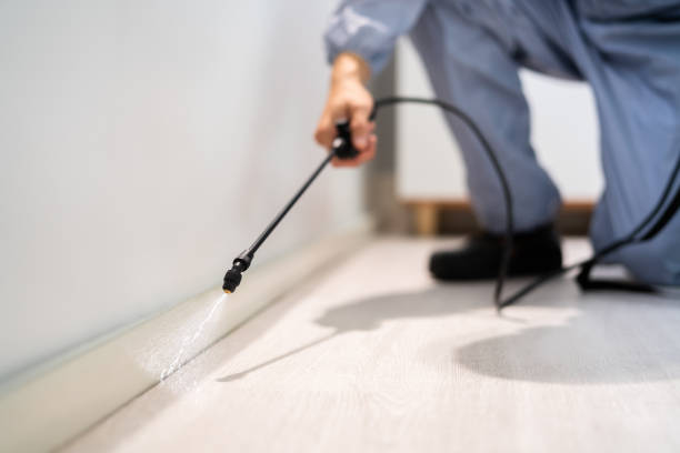 Certified termite inspector examining foundation in Richmond Heights
