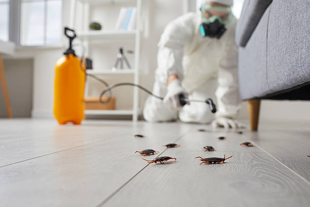 Commercial Rodent Management in Richmond Heights